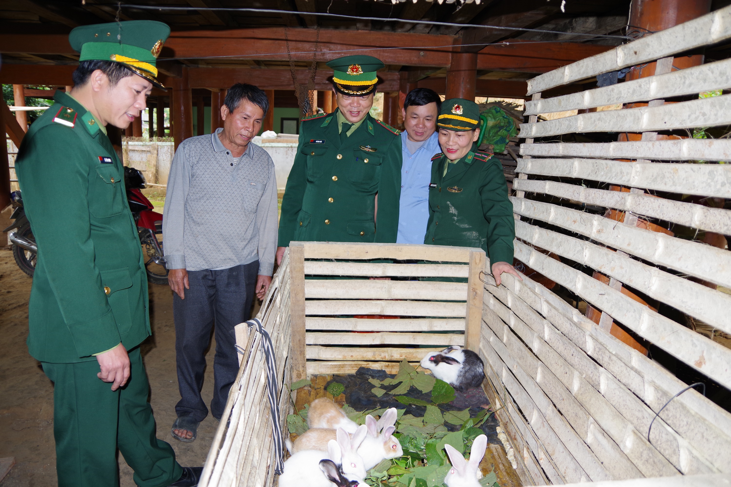 Bội đội Biên phòng hỗ trợ dân nghèo phát triển kinh tế