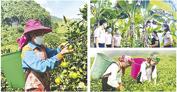 Khơi dậy ý chí chủ động vươn lên thoát nghèo