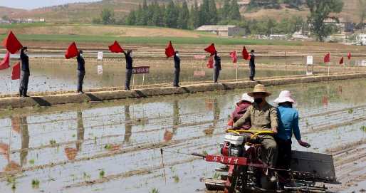 Đảng Lao động Triều Tiên dự kiến bàn quyết sách phát triển nông nghiệp