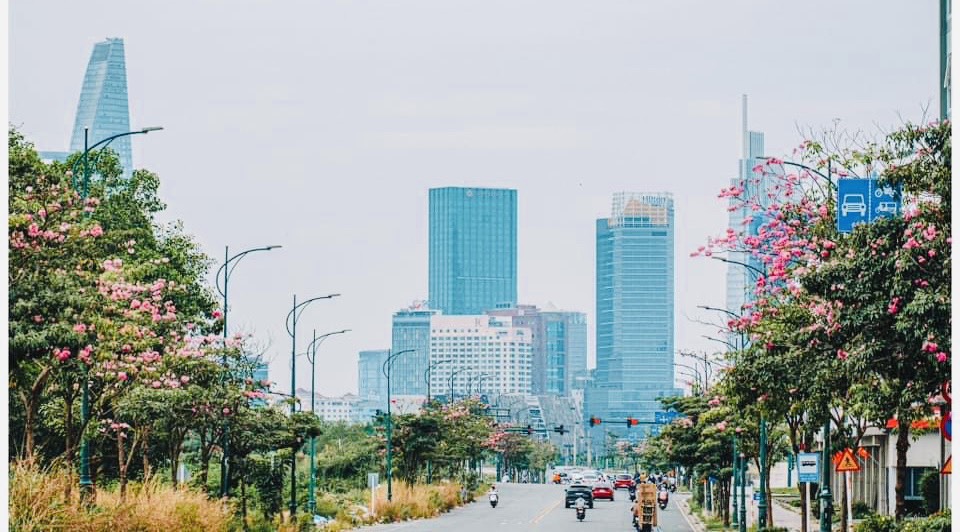 TP Hồ Chí Minh Triển khai Bộ chỉ số đánh giá chuyển đổi số năm 2023