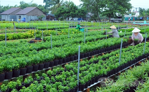 4 huyện của Hà Nội đủ điều kiện đạt chuẩn nông thôn mới nâng cao