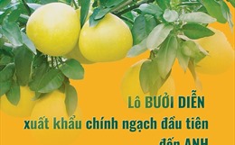 Bánh cuốn lọt top 10 món ngon hấp dẫn nhất thế giới