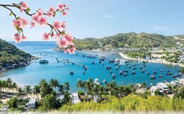 Một số chỉ tiêu y tế và môi trường của Quy hoạch tổng thể quốc gia