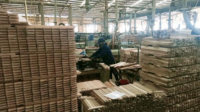 Kim ngạch xuất khẩu nông lâm thủy sản giảm 23,6 trong tháng 1
