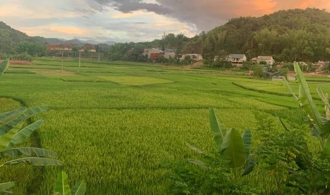 63 địa phương lấy ý kiến nhân dân về dự thảo Luật Đất đai sửa đổi