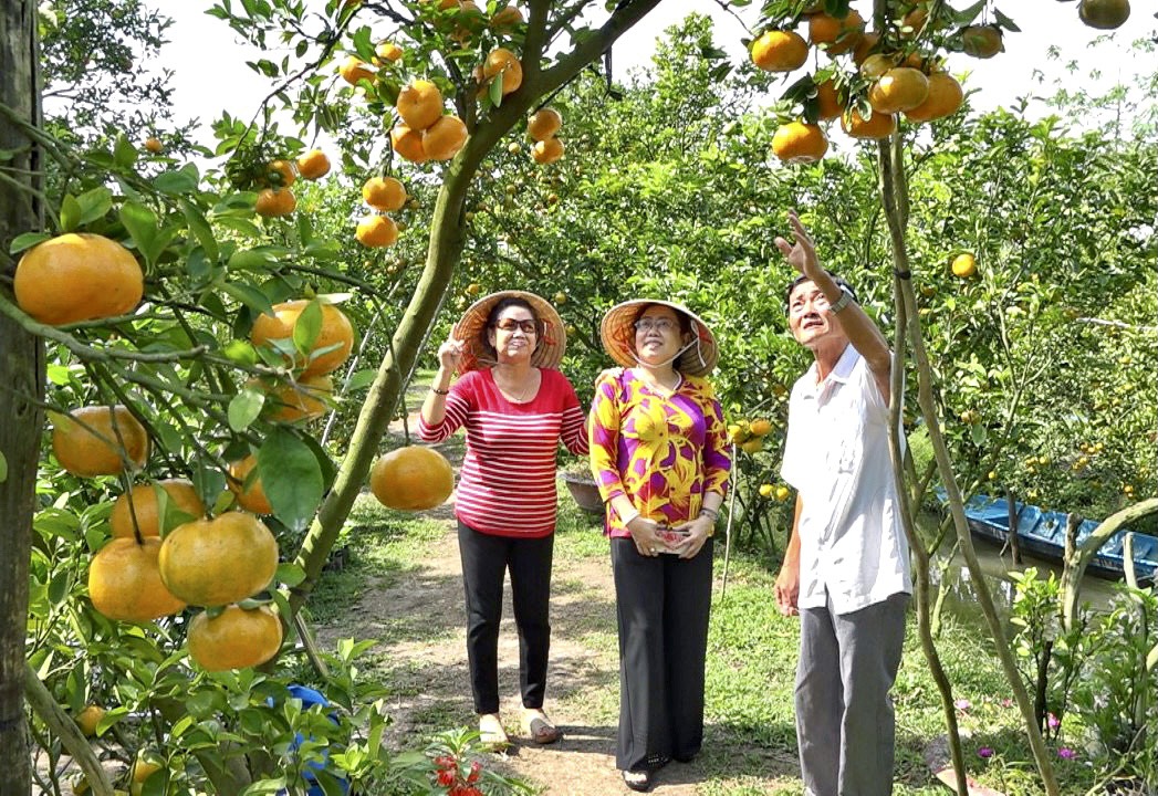 Đồng Tháp Đa dạng loại hình du lịch sinh thái nông nghiệp