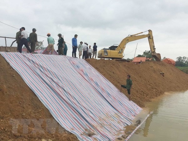 Hoàn thành công tác duy tu, bảo dưỡng đê điều phòng, chống lụt bão năm 2023