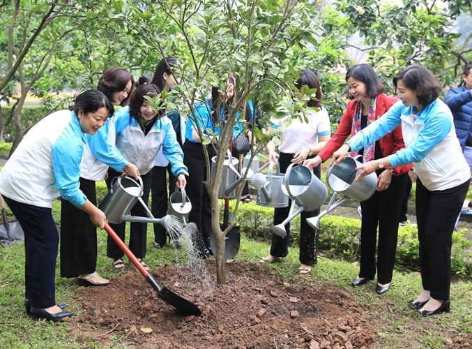 Góp phần làm đẹp cảnh quan trong vườn Bác