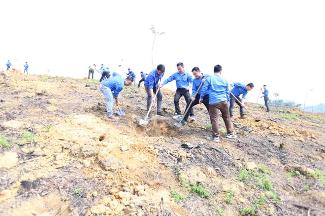 Cả nước trồng được 10,7 nghìn ha rừng trong tháng 2