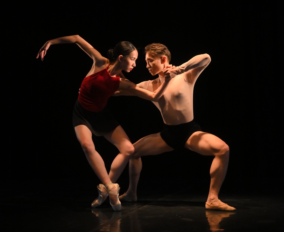 Ra mắt vở ballet lấy cảm hứng từ tranh dân gian Đông Hồ