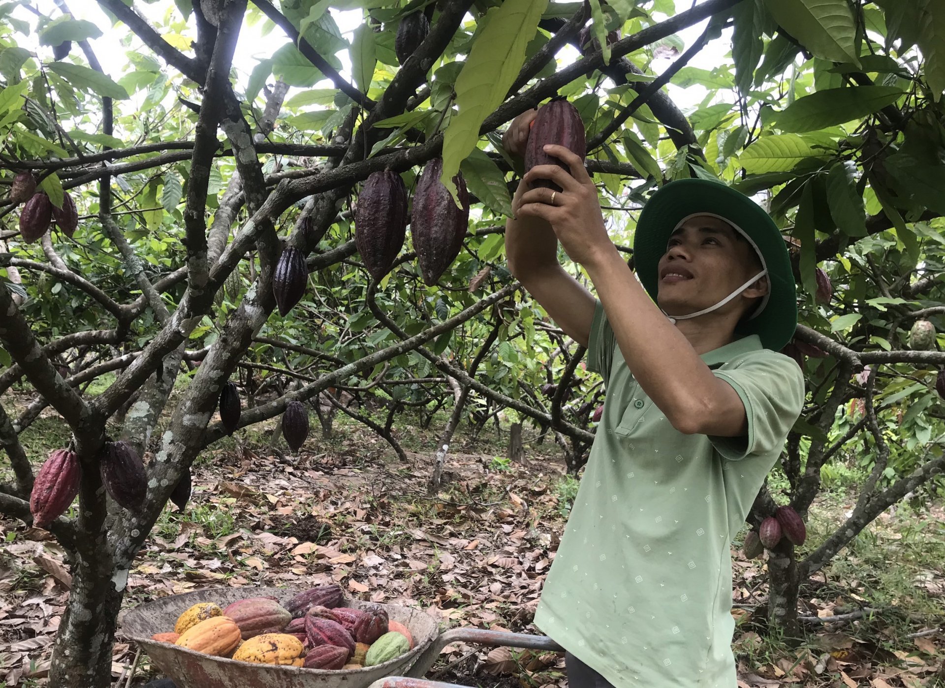 Dấu ấn đảng viên trẻ ở Ea H’leo