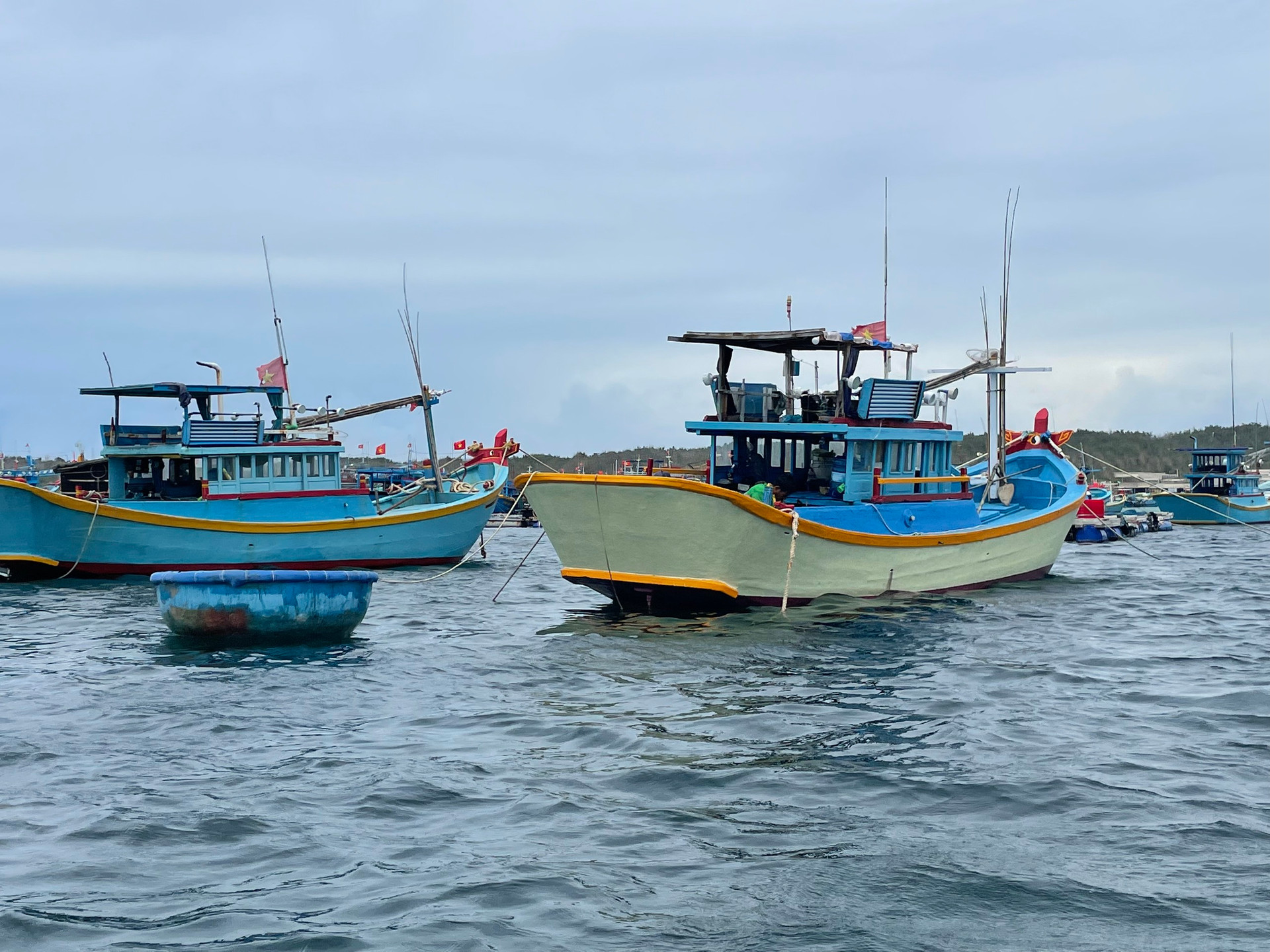 Tiếp tục tìm kiếm 2 thuyền viên bị mất tích do tàu bị sóng lớn đánh chìm