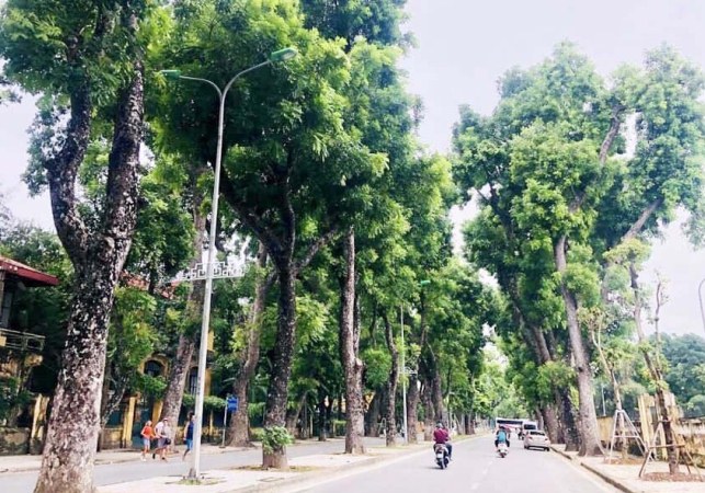 Bắc Bộ trưa chiều trời hửng nắng