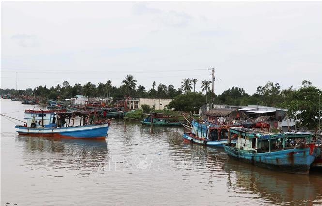 Bài 3 Cà Mau Quyết liệt triển khai 180 ngày cao điểm chống khai thác IUU