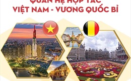 Quan hệ hợp tác Việt Nam - Vương quốc Bỉ