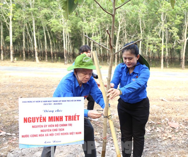 Phát động chương trình “Vì một Bình Dương xanh - Trồng mới 1 triệu cây xanh”