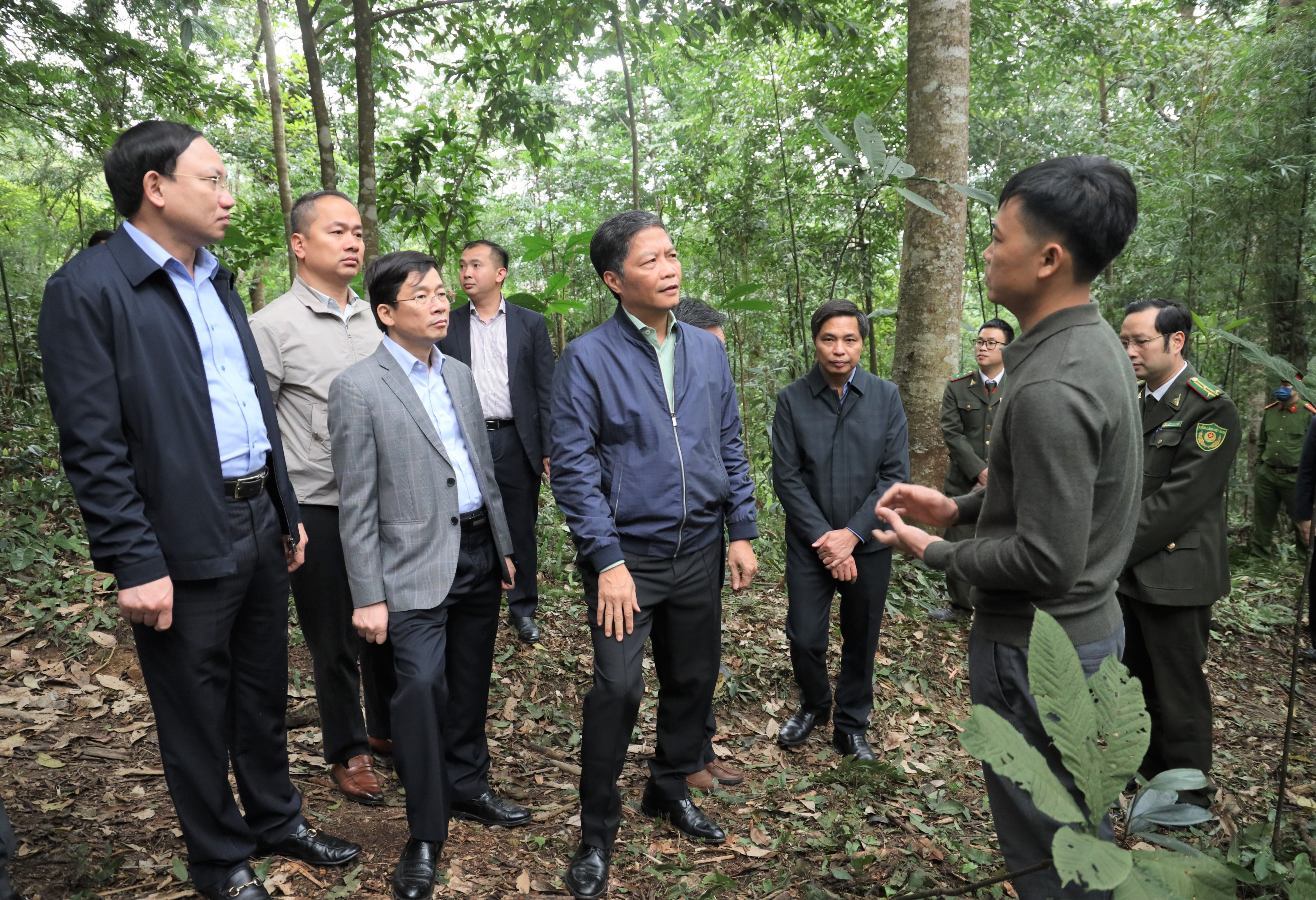 Quảng Ninh cần đẩy mạnh phát triển kinh tế lâm nghiệp