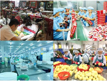 Phát triển kinh tế tư nhân trở thành một động lực quan trọng của nền kinh tế