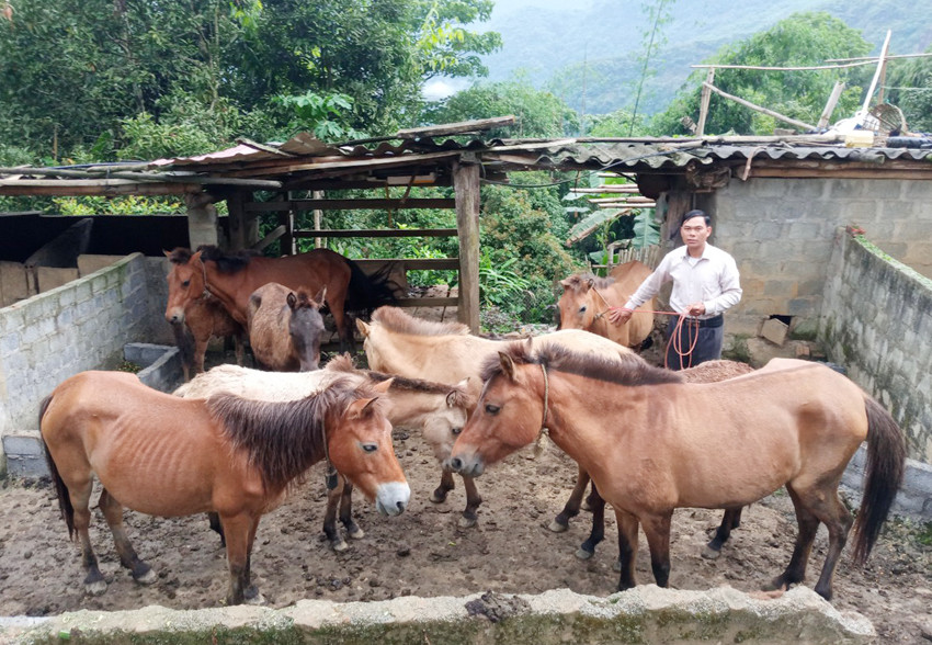 “Đầu tàu” ở Cán Tỷ