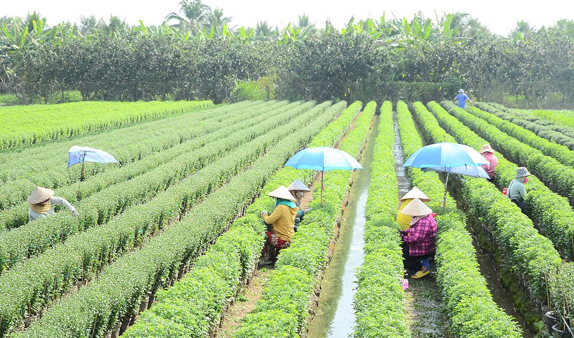 Lượng du khách đến Tiền Giang tăng mạnh trong quý 1 2023