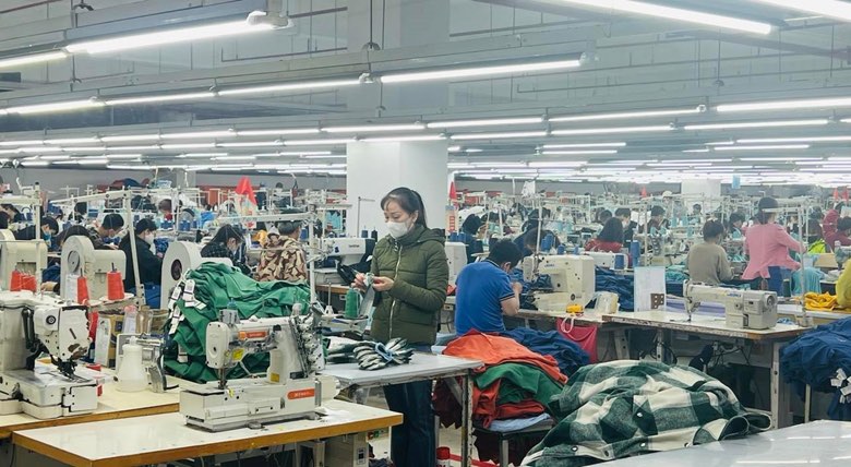 Bộ Tài chính đề xuất gia hạn tiền thuế và tiền thuê đất năm 2023