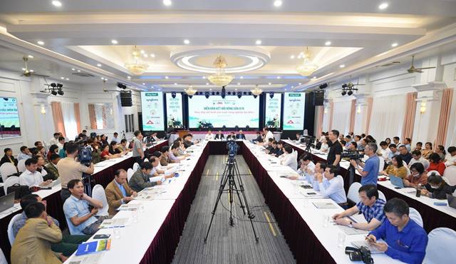 Thúc đẩy mô hình sản xuất nông nghiệp đại điền