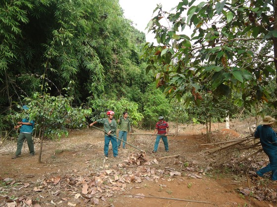 Tập trung phòng chống cháy rừng giữa cao điểm mùa khô