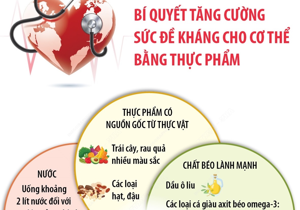 Ngày Sức khỏe Thế giới 7 4 Bí quyết tăng cường sức đề kháng cho cơ thể bằng thực phẩm