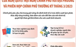 Nội dung chính của Nghị quyết Hội nghị Chính phủ với địa phương và Phiên họp Chính phủ thường kỳ tháng 3 2023