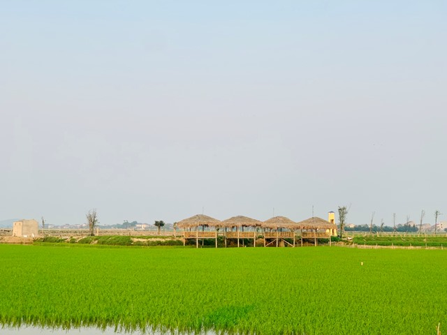 Bài 1 Miền quê đáng sống nơi Thạch Hạ