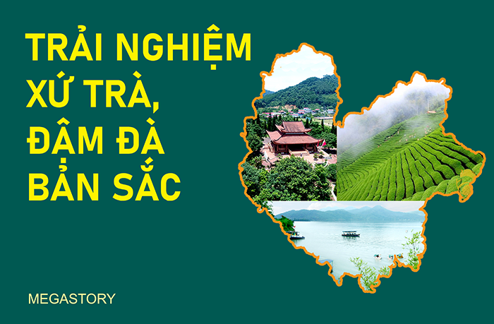 Megastory Trải nghiệm xứ Trà