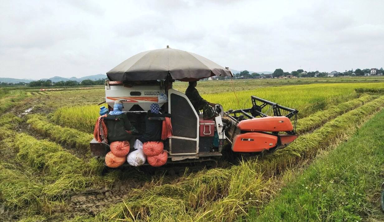 Chuyển đổi hệ thống lương thực, thực phẩm lành mạnh, bền vững