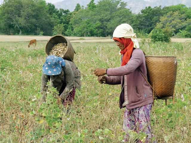 Bình Thuận đẩy mạnh chương trình mục tiêu quốc gia giảm nghèo bền vững