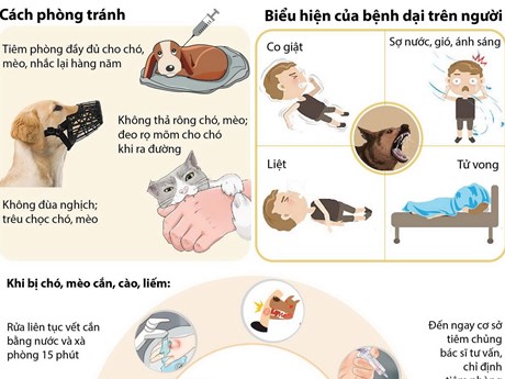 Tăng cường các biện pháp cấp bách phòng, chống bệnh Dại