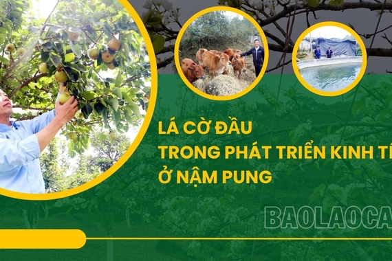 Lá cờ đầu trong phát triển kinh tế ở Nậm Pung