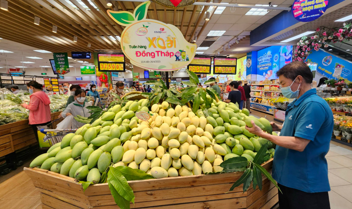 Kích cầu tiêu thụ Xoài Đồng Tháp tại hệ thống phân phối hiện đại