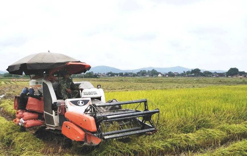 Mô hình sản xuất đại điền Hướng đi tất yếu hướng đến nền nông nghiệp hiện đại
