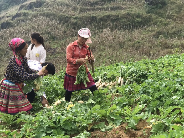 ​Nhiều mô hình thiết thực trong học và làm theo Bác ở Xín Mần