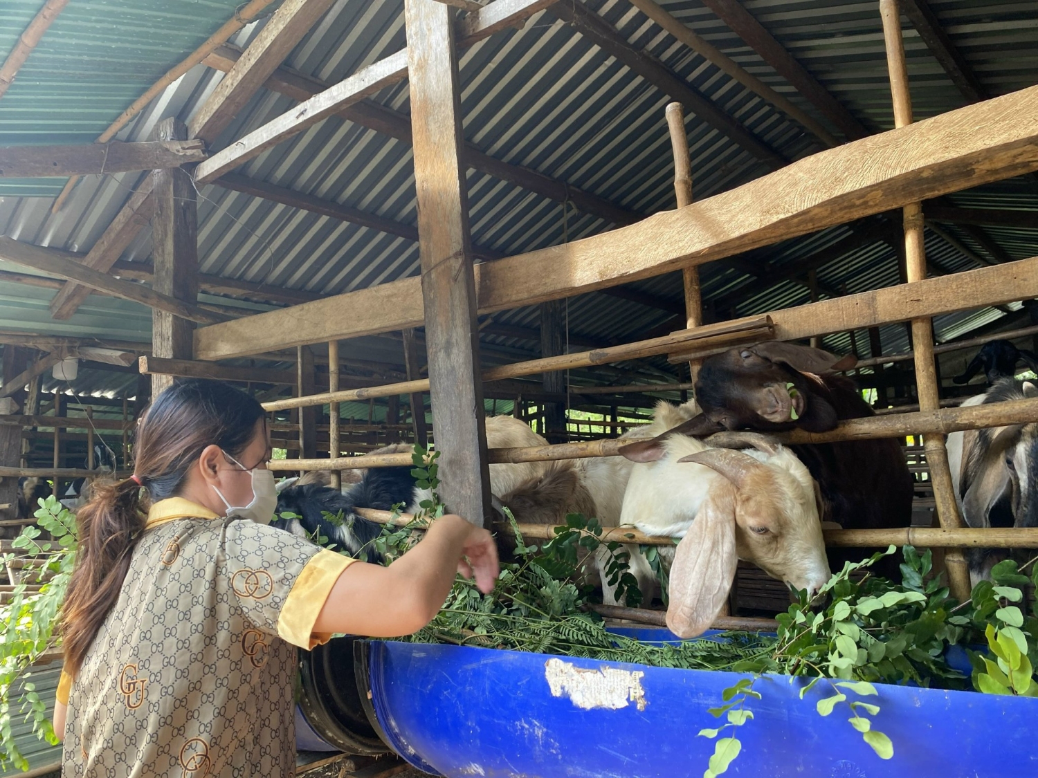 Quỹ hỗ trợ nông dân - điểm tựa giúp nông dân thoát nghèo