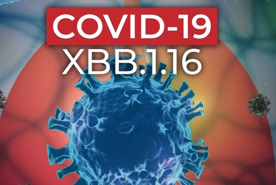 Biến thể COVID-19 mới XBB 1 16 gây ra các bệnh về mắt