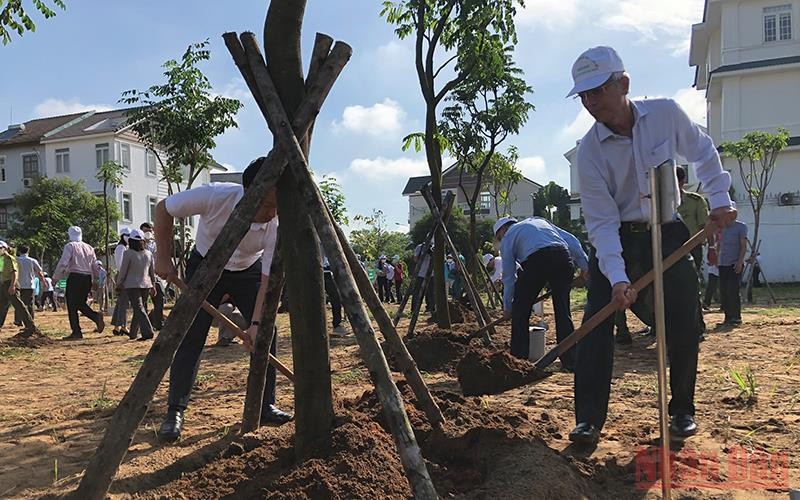 Tổ chức Tết trồng cây phải hiệu quả, tránh hình thức