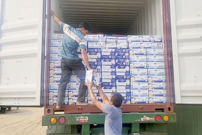 Bắt giám đốc công ty nhập lậu sữa về Việt Nam