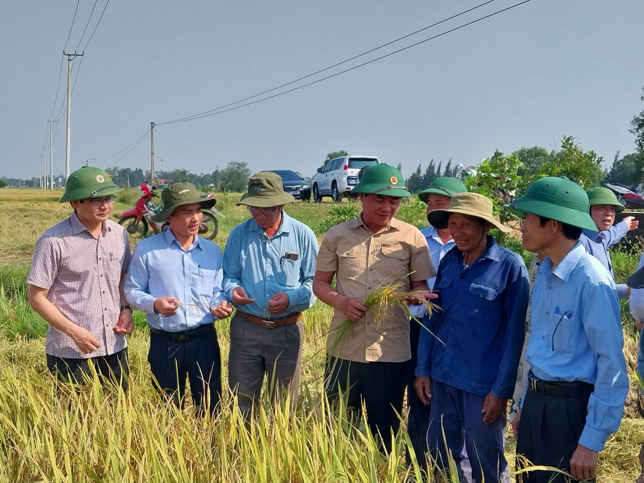 Quảng Trị Người dân phấn khởi khi lúa được mùa, được giá