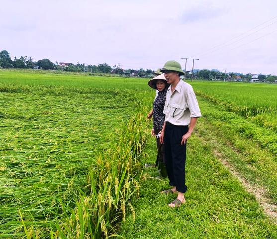 Huy động lực lượng khẩn trương khắc phục hậu quả do dông, lốc, mưa đá