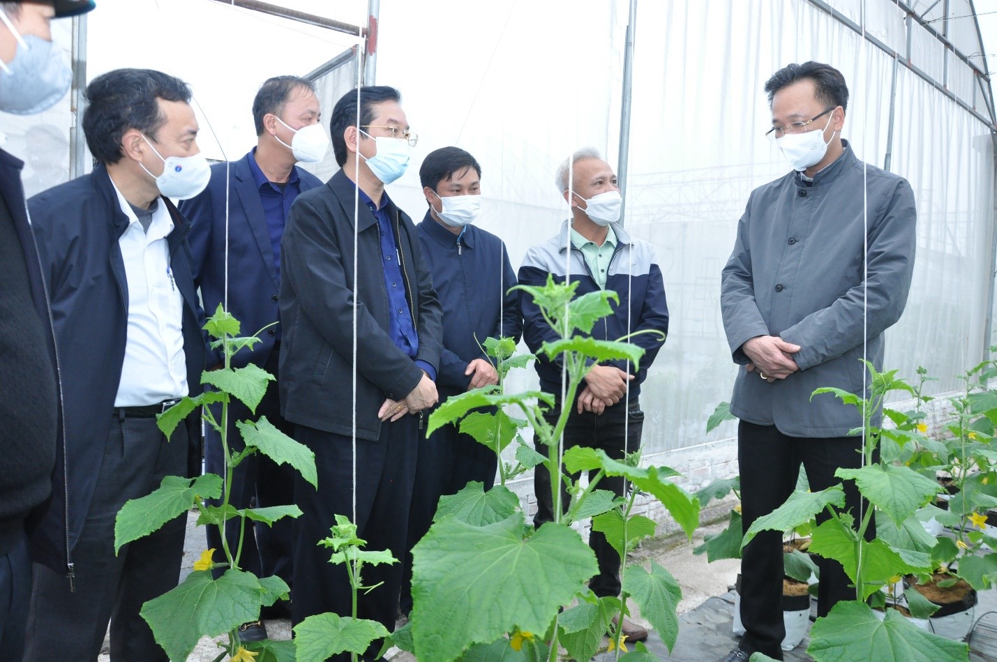 Hưng Yên đẩy mạnh cơ cấu lại ngành nông nghiệp gắn với xây dựng nông thôn mới