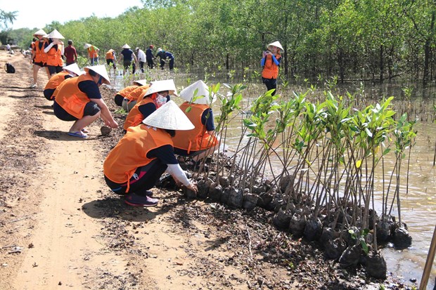 Trà Vinh Dành 14 tỷ đồng khắc phục sạt lở đê điều