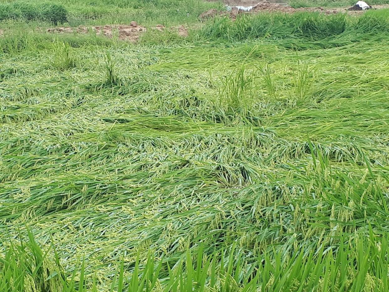 Mưa lớn, dông, lốc, sạt lở đất gây thiệt hại tại nhiều địa phương
