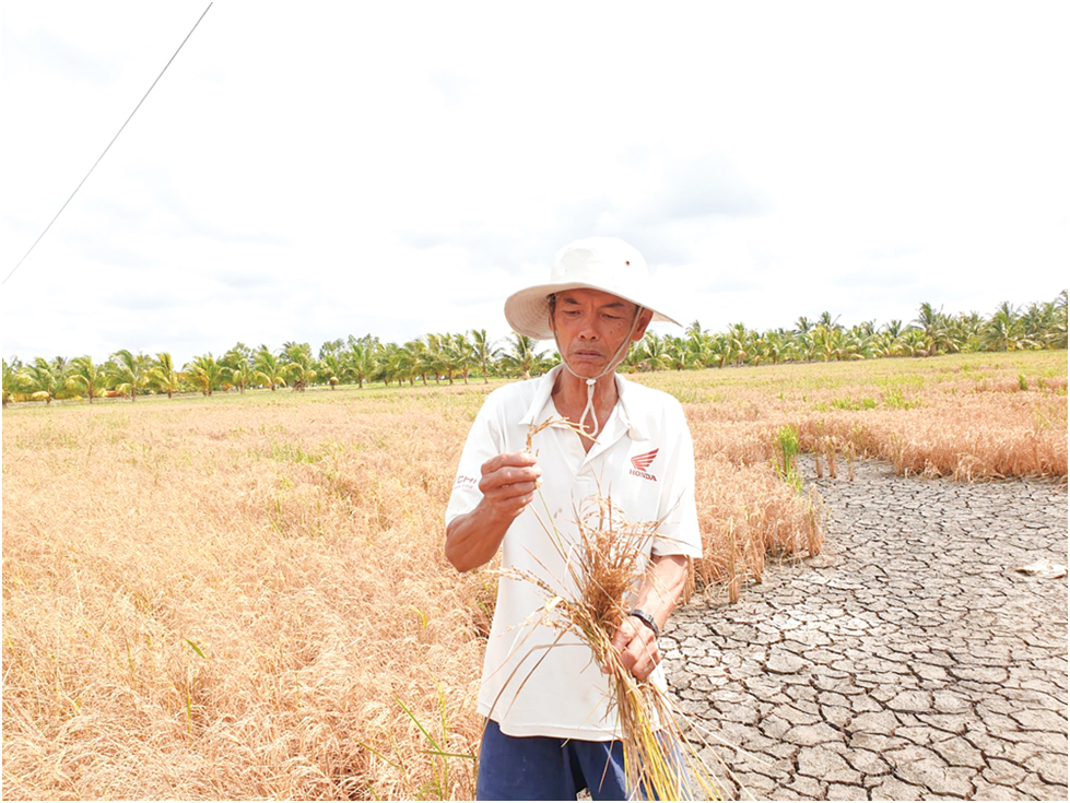 “Xâm nhập mặn ở Tây Nam Bộ Biện pháp khắc phục và phát triển kinh tế địa phương”