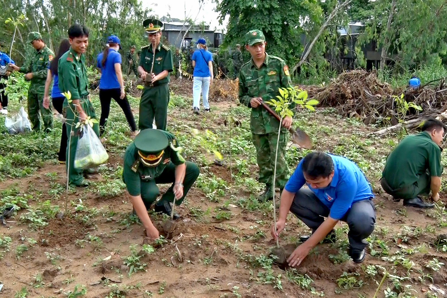 Nhiều hoạt động thiết thực trong Ngày Chủ Nhật xanh