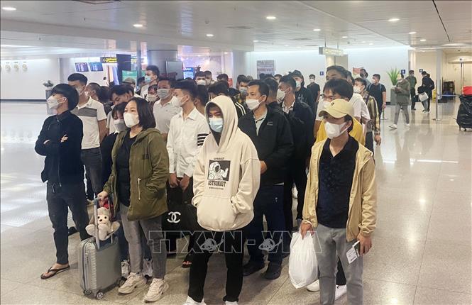 Giải cứu công dân ở Philippines 60 người Việt Nam đã về nước